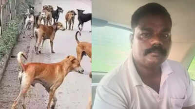 BSP leader arrested for killing 16 stray dogs in Tamil Nadu